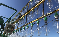 Quy định “Đèn và dấu hiệu” tránh đâm va tàu, thuyền trên biển