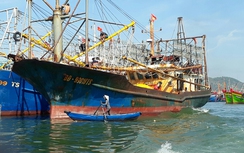 Vụ tàu vỏ thép 67: Bất thường khoản tiền hỗ trợ “không hoàn lại”