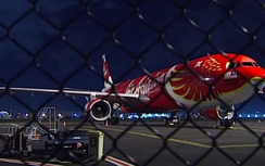 Máy bay hạ cánh khẩn cấp vì bị chim tấn công