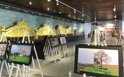 Bảo tàng 2.300 tỷ sau 7 năm vẫn trưng bày... tạm