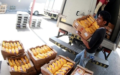 Qatar tuyên bố thừa tiền để chống trọi lệnh trừng phạt