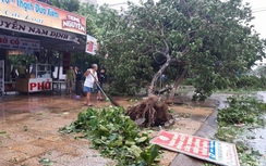 Bão số 2 khiến 12 người chết và mất tích