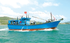 Hướng dẫn thử, kiểm tra định kỳ thiết bị Satellite EPIRB 406MHz