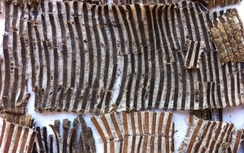 Hạ huyết áp nhờ đỗ trọng