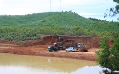 “Đất tặc” tung hoành về đêm ở Bình Định