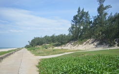 “Sốt” đất biển Tam Thanh, bác yếu tố Trung Quốc