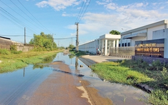 Lo ngại nhà máy từng “xả trộm” được xả thải tạm thời