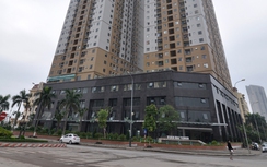 Đánh thuế nhà, mũi tên nhiều đích