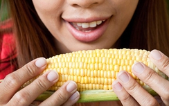 Ăn ngô ngọt có gây bệnh tiểu đường?