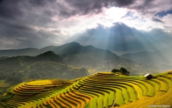 Trải nghiệm Bay trên mùa vàng