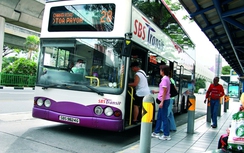 Singapore tăng mức phạt dẹp nạn trốn vé tàu, xe công cộng
