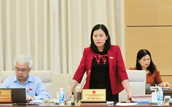 Hạn chế đóng dấu mật vào các báo cáo tại Quốc hội