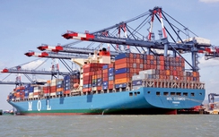 Tập trung trí tuệ khoa học phát triển bền vững cảng - đường thủy