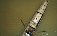 Cơ hội nào cho Cha cõng con ở Oscar 2018?