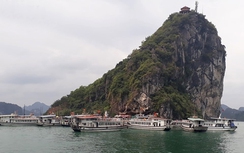 Đình chỉ tàu du lịch trên vịnh Hạ Long chưa lắp camera giám sát