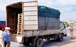 Hải Phòng: CSGT phối hợp đăng kiểm loại bỏ xe quá khổ