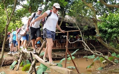 TP.HCM: Phê bình GĐ Sở vì đề xuất thu phí du khách qua đêm