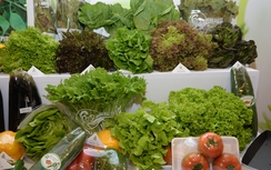 Sau mưa lũ, giá rau xanh Hà Nội tăng mạnh