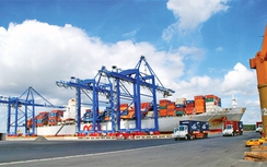 Thu hồi những DA cảng biển và cảng thủy nội địa chậm triển khai