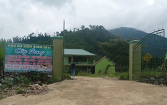 Nghệ An: Khu sinh thái không phép “mọc” trên đất lâm nghiệp