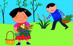 Hãy tặng nàng đóa hoa “bất tử”