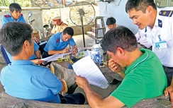 Cảng vụ đường thủy chủ động ngăn chặn ô tô chở quá tải