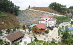 Nỗi oan biệt phủ