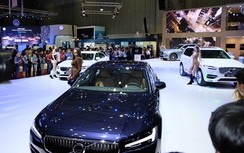 Xe sang âm thầm tăng trưởng, xe nhập cũ hết đường về Việt Nam