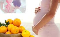 Mùa cam chín bẽ bàng