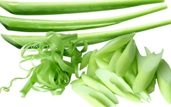 Dọc mùng trị phong thấp