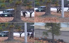 Binh sỹ Triều Tiên đào tẩu bị bắn đã thoát chết