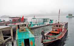 Chuyện cảng vụ giữ an toàn đường thủy nơi... miền ngược