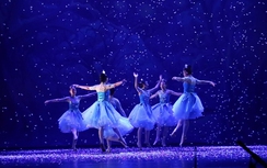 Biểu diễn ballet kinh điển Kẹp hạt dẻ