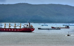 Ai khiến “nghĩa địa tàu chìm” hành doanh nghiệp?