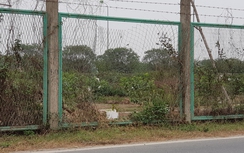 Dân phá rào vào trồng cây trên Đại lộ Thăng Long