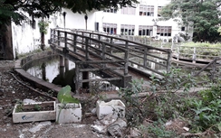 Hải Phòng: Công viên Rồng Biển bỏ hoang, đất “vàng” thành bãi rác