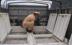 “Đón lõng” đối tượng vận chuyển 6.000 con cá giống nhập lậu