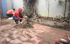 Nổ ở Bắc Ninh: Vật liệu nổ ở đâu ra, ai chịu trách nhiệm?