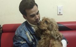 Nguy hại khôn lường từ thú nuôi trong nhà