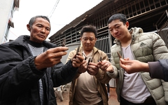 Đạn nổ rầm rầm sao gọi là phế liệu?