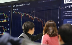 Bitconnect sập sàn, “bay” giá hay chỉ là chiêu trò?