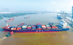 Hoa tiêu dẫn dắt trên 90.000 lượt tàu ra vào các cảng an toàn