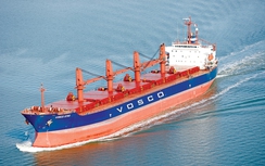 Chờ Vinalines “lột xác” sau cổ phần hóa