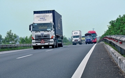 Sớm làm đại lộ để đại phú