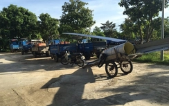 Ám ảnh những chuyến xe chở tôn đoạt mạng sống