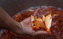 Đồ cúng ông Công, ông Táo tăng giá