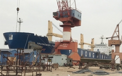 Năm mới nhiều kỳ vọng với Đóng tàu Nam Triệu