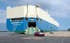 Sự thật Nghị định 116 "ngáng chân" doanh nghiệp