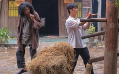 Giải mã "798 Mười" thắng lớn phòng vé