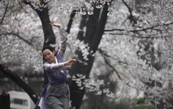 Xem múa Kiều để hiểu về cuộc sống